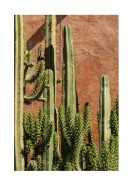 Cactus Plant In The Sun | Búðu til þitt eigið plakat
