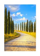 Cyprus Trees In Italy | Búðu til þitt eigið plakat